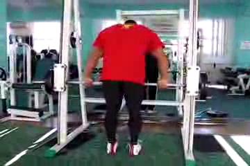 Iana Legs Power