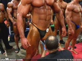Big Noah Steere