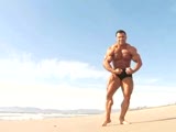 moe el mossawi