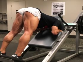Armando Fogaca - Gym Shorts 2