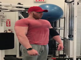Insane Chest